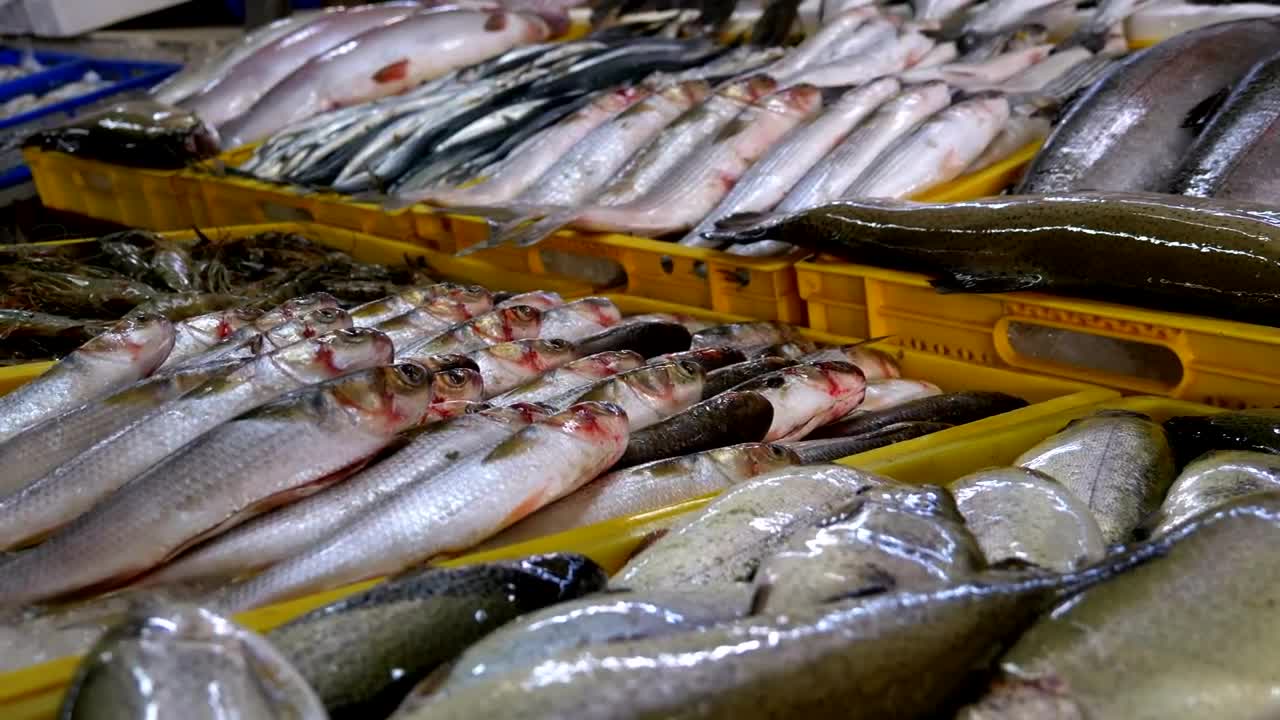Stock Video Fresh Fish On Ice Trays In The Market Live Wallpaper For PC - Free Download
