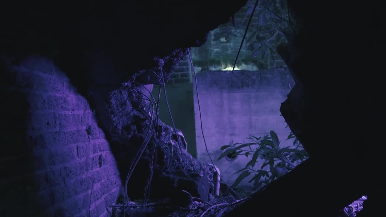Free Stock Video Scary Clown Peeking Through Hole In Wall Live Wallpaper - Free Download