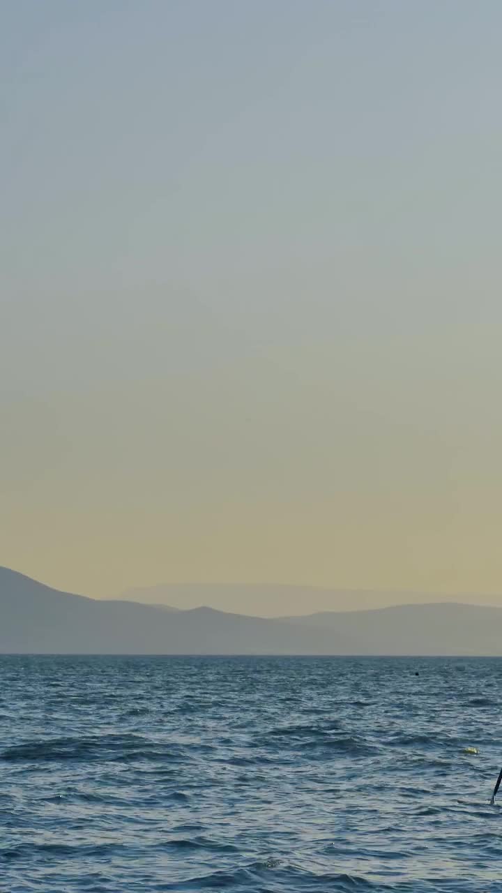 Stock Video Paddleboarder Live Wallpaper - Free Download