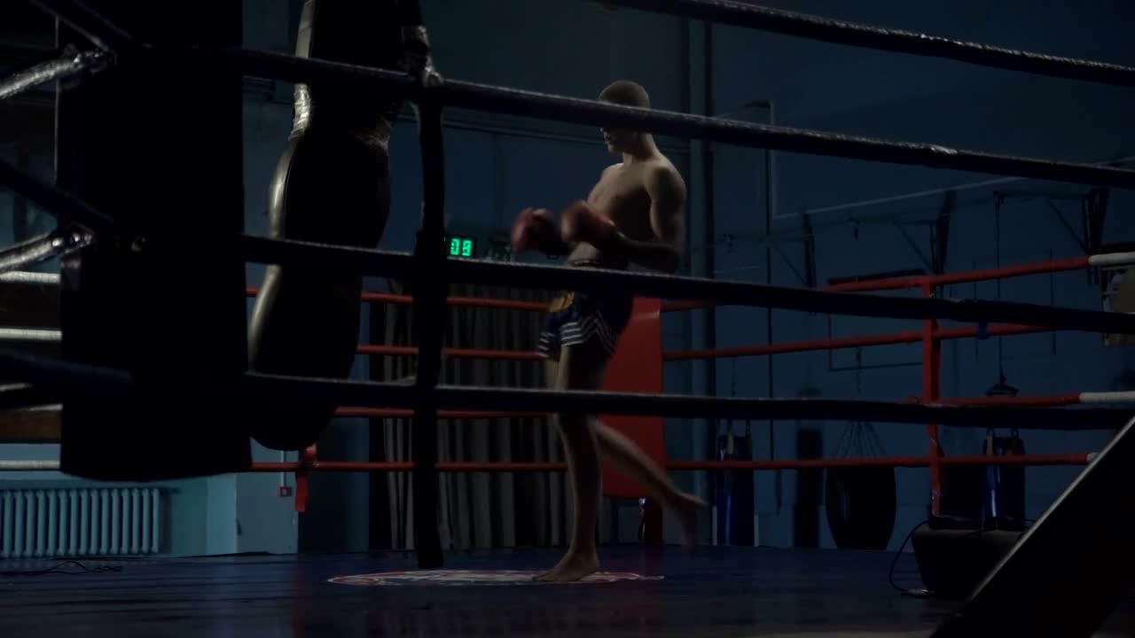 Stock Video Man Training With Punching Bag In The Rin Animated Wallpaper - Free Download