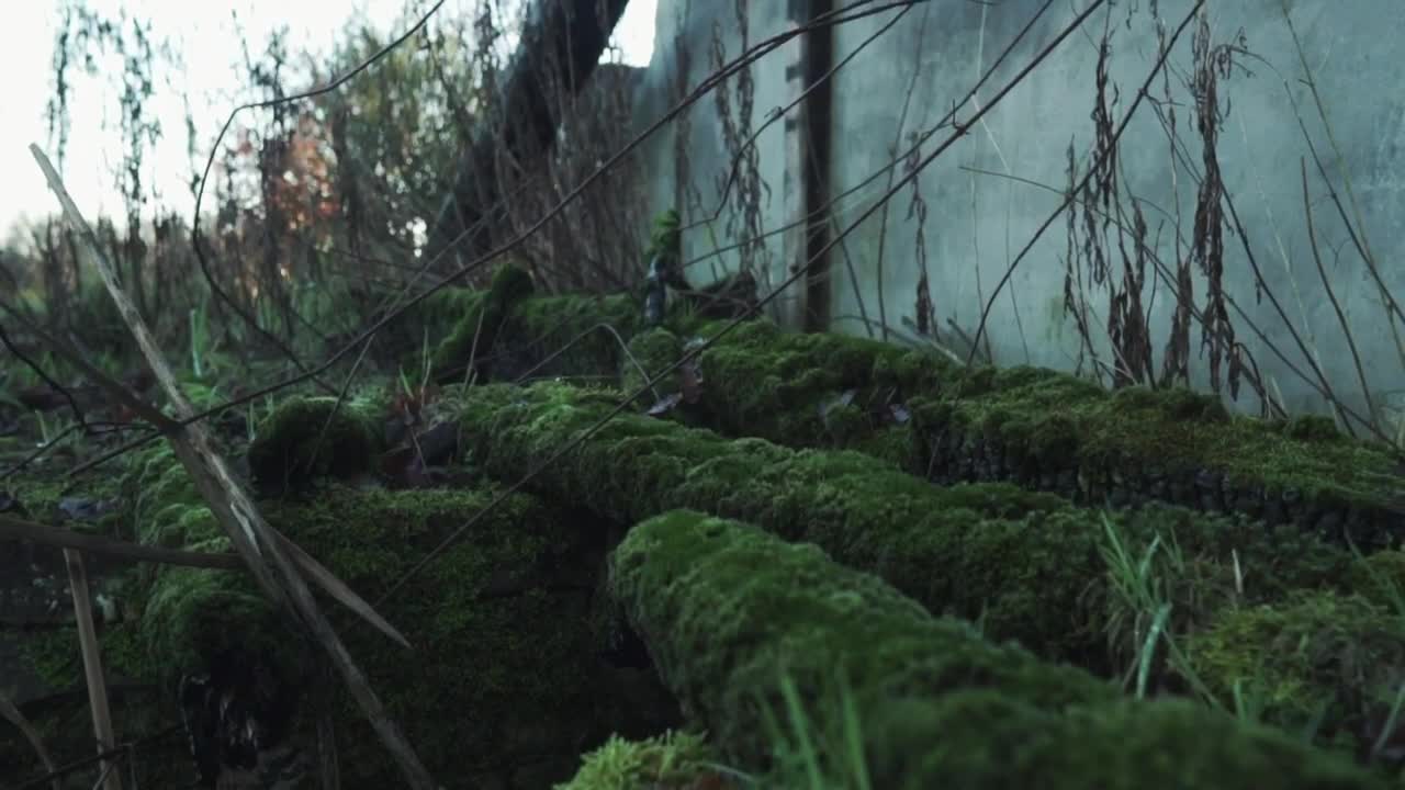 Free Stock Video Ruined House With Destroyed Walls Live Wallpaper - Free Download