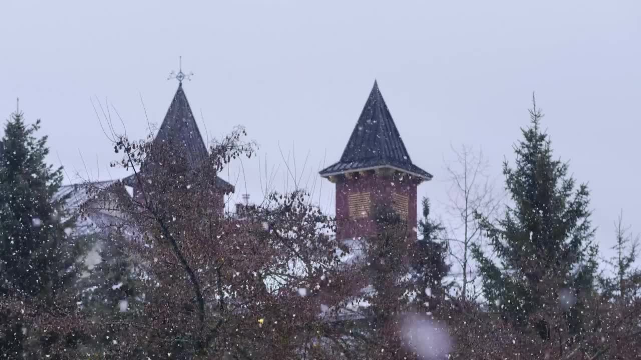 Free Video Stock Snowing Softly In Winter Live Wallpaper - Free Download