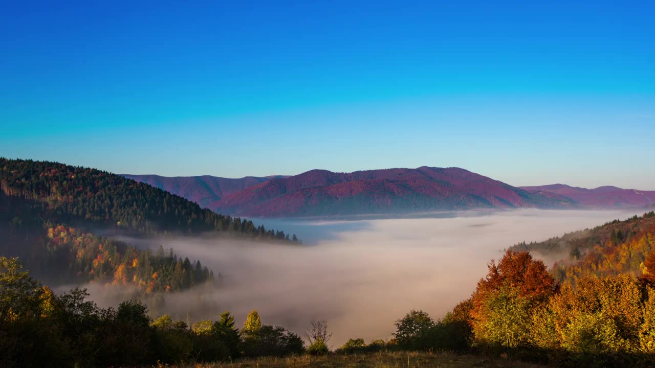 Stock Video Fog Covering Forests In The Mountains Live Wallpaper For PC - Free Download