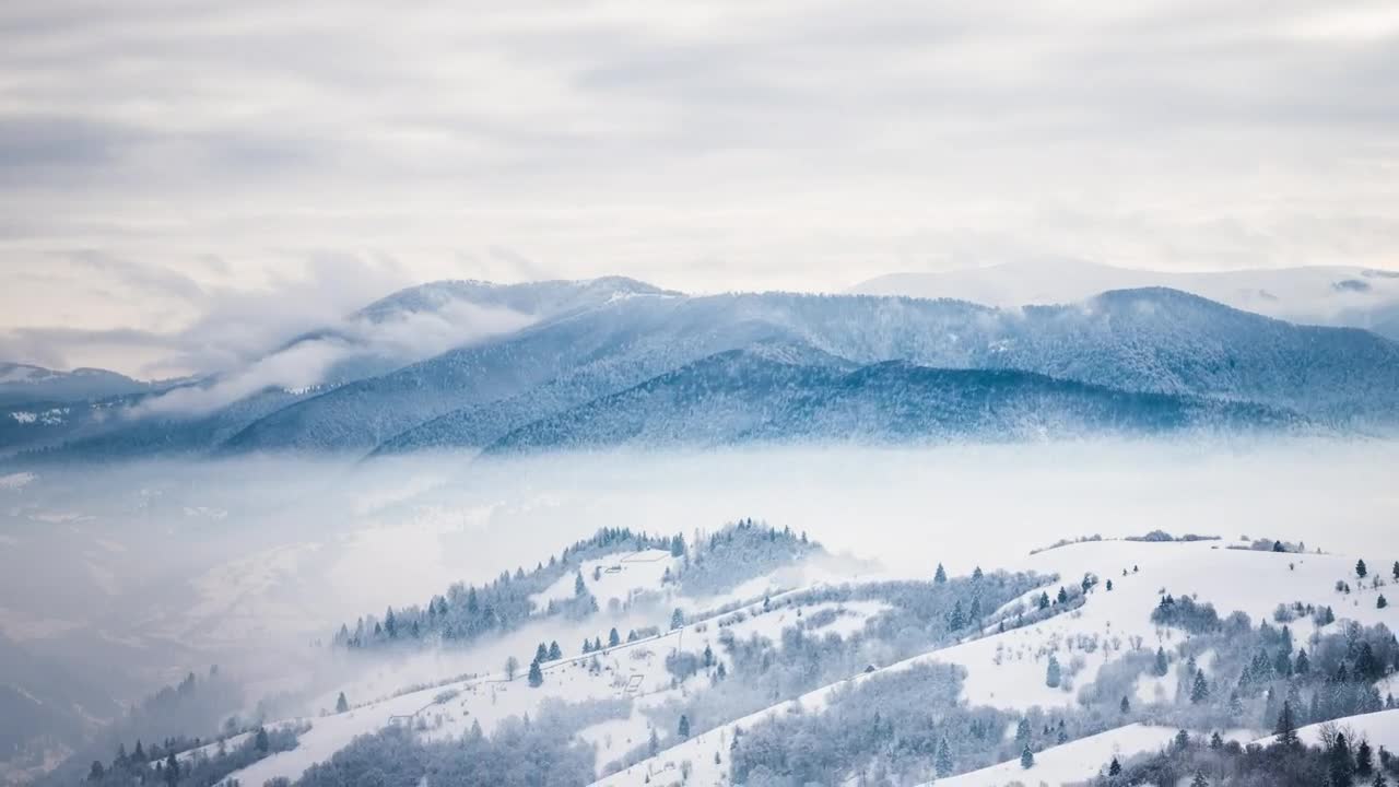 Stock Video Distant View Of Forests In Snowy Mountains Live Wallpaper For PC - Free Download