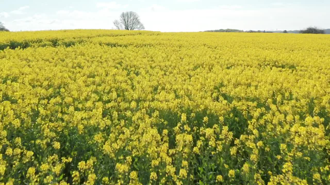 Stock Video Mountain Farmland In Europe Live Wallpaper - Free Download