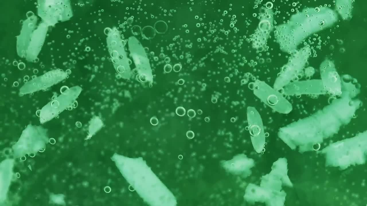 Stock Footage Viruses And Bacteria Live Wallpaper - Free Download