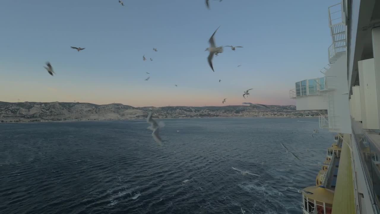 Free Stock Video Seagulls Flying Alongside A Cruise Ship Live Wallpaper - Free Download
