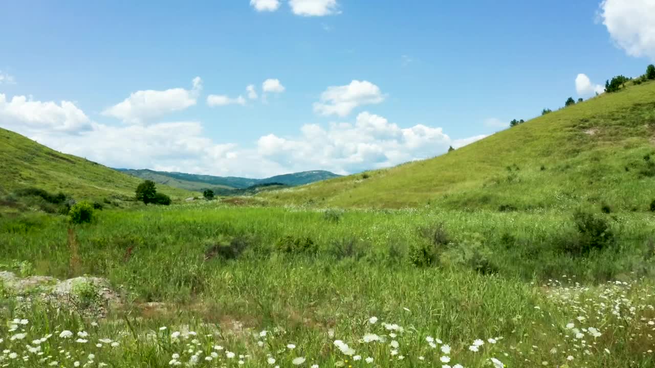 Video Stock Cinematic Aerial View Of Countryside Meadow Live Wallpaper For PC - Free Download