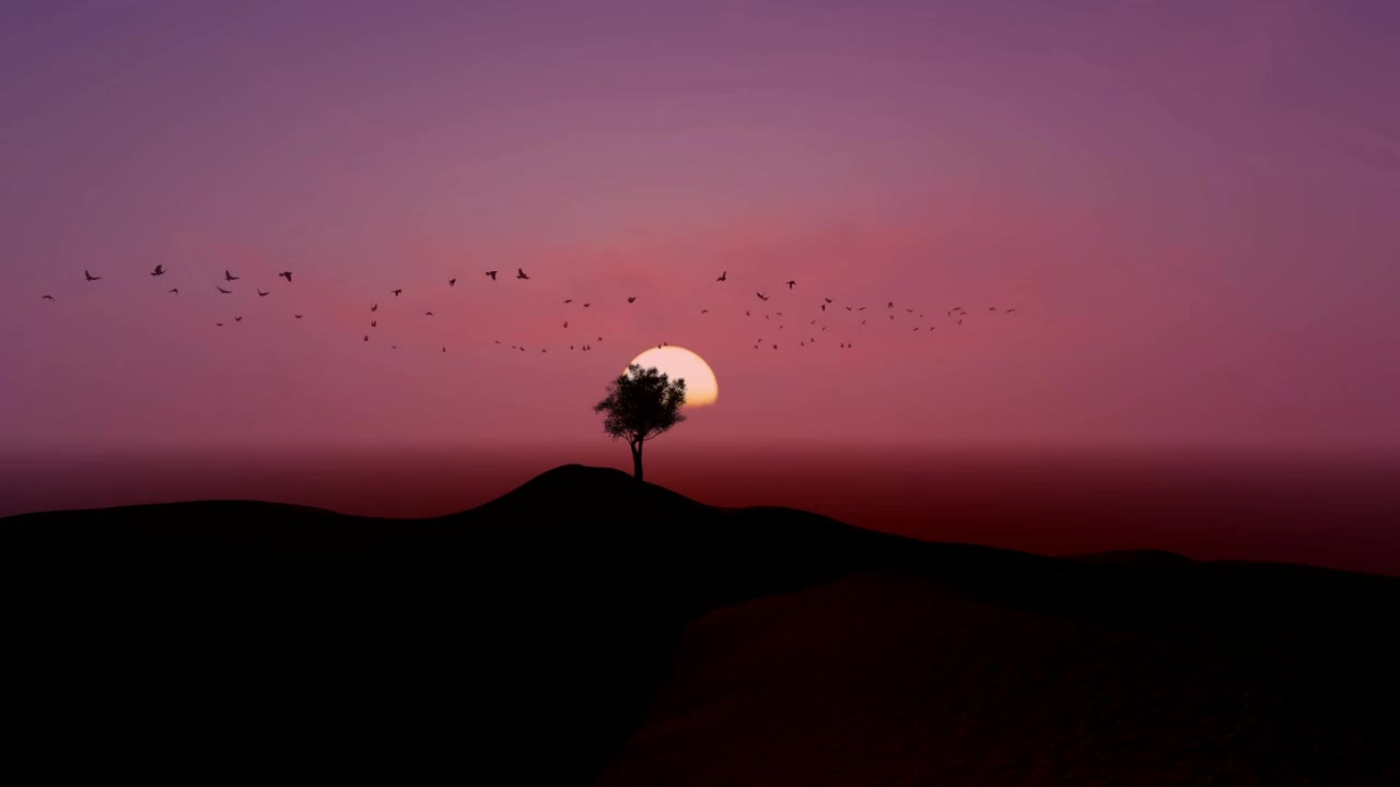 Stock Video Flock Flying Around A Tree During Sunset Live Wallpaper For PC - Free Download
