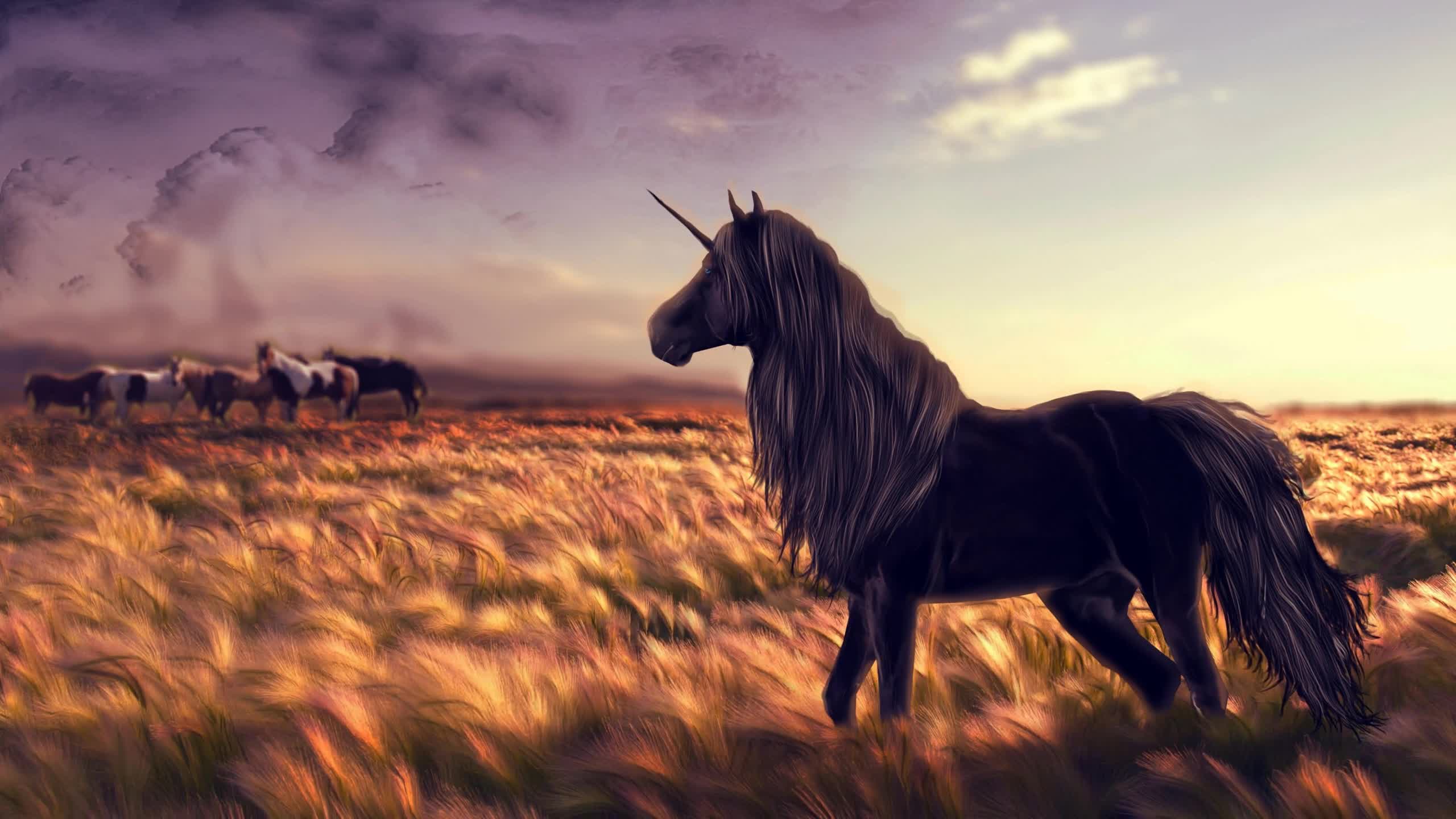 Unicorn  Horses  Fantasy  World  2K  Live  Wallpaper - Free Download