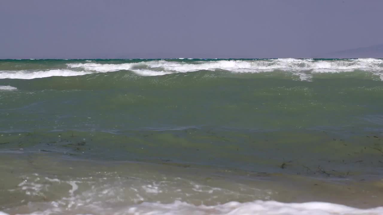 Free Stock Video Seaweed Floating In The Waves Live Wallpaper - Free Download
