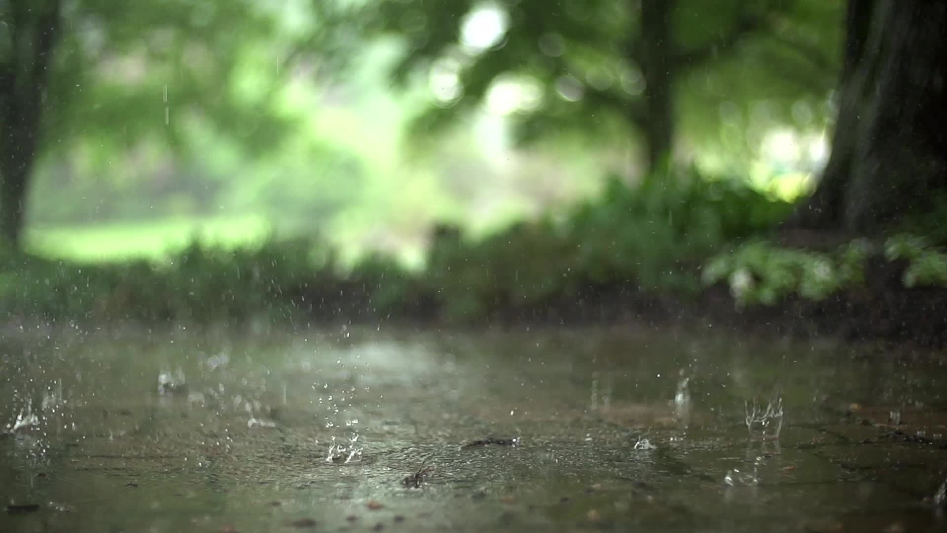 Raindrops Live Wallpaper - Free Download