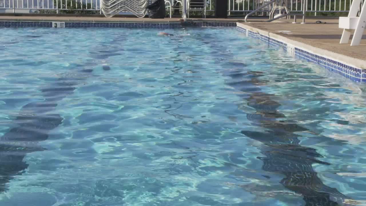 Stock Video Freestyle Swimming In A Pool Live Wallpaper For PC - Free Download