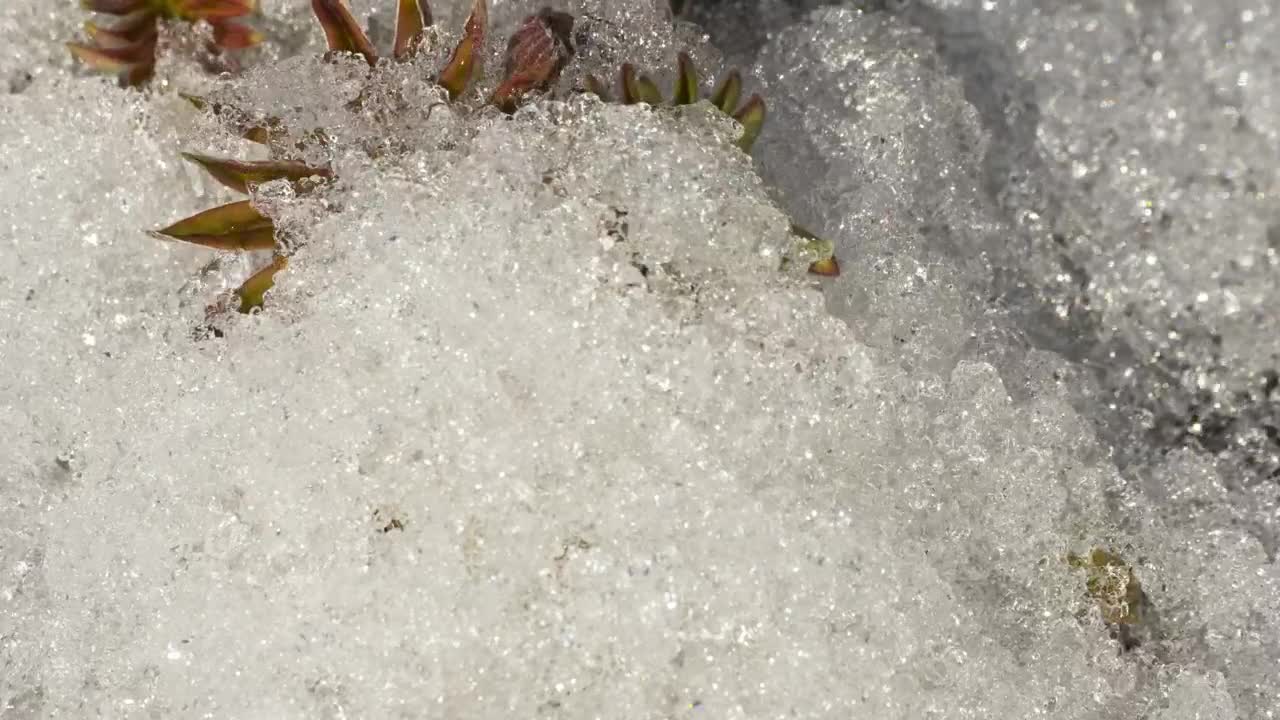 Free Video Stock time lapse of melting ice Live Wallpaper - Free Download