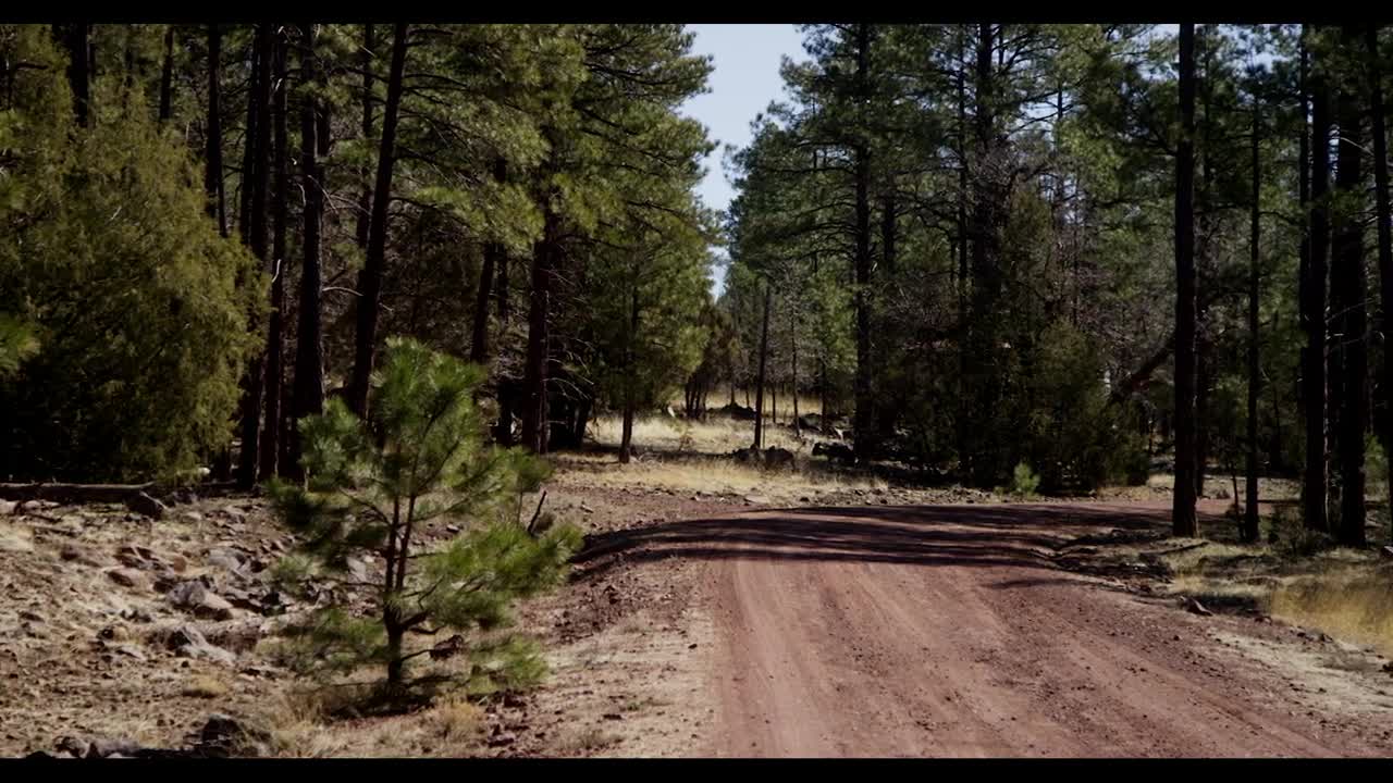 Stock Video Dirt Road In The Sedona Forest Live Wallpaper For PC - Free Download