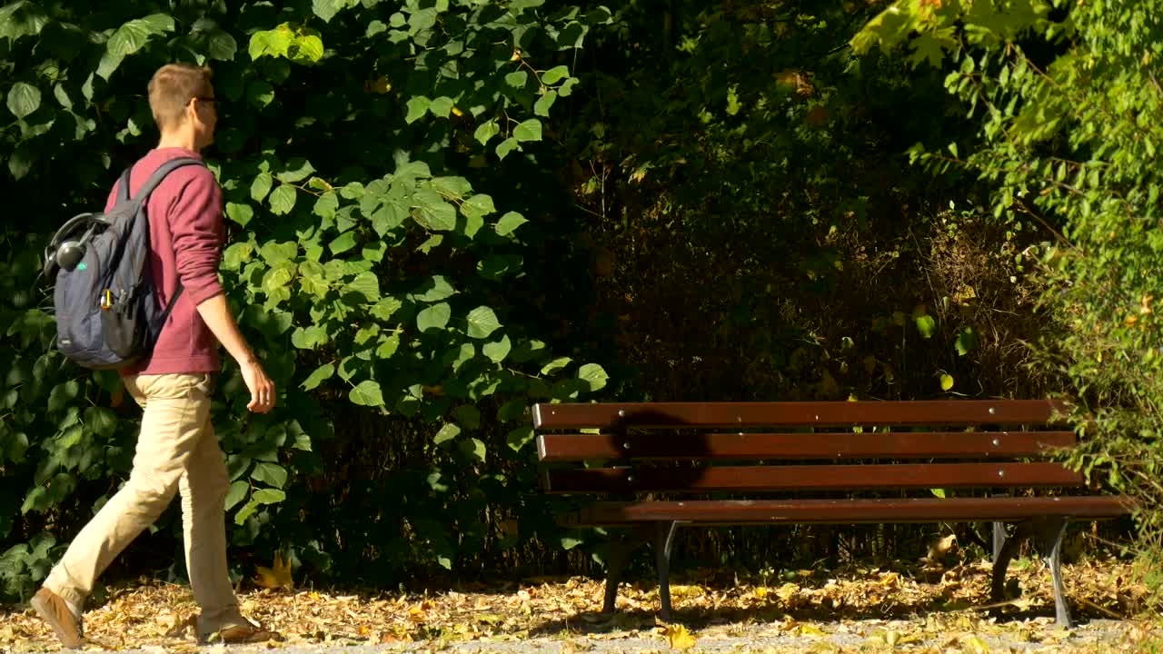 Stock Video Man With A Backpack On A Park Bench Takes Ou Animated Wallpaper - Free Download