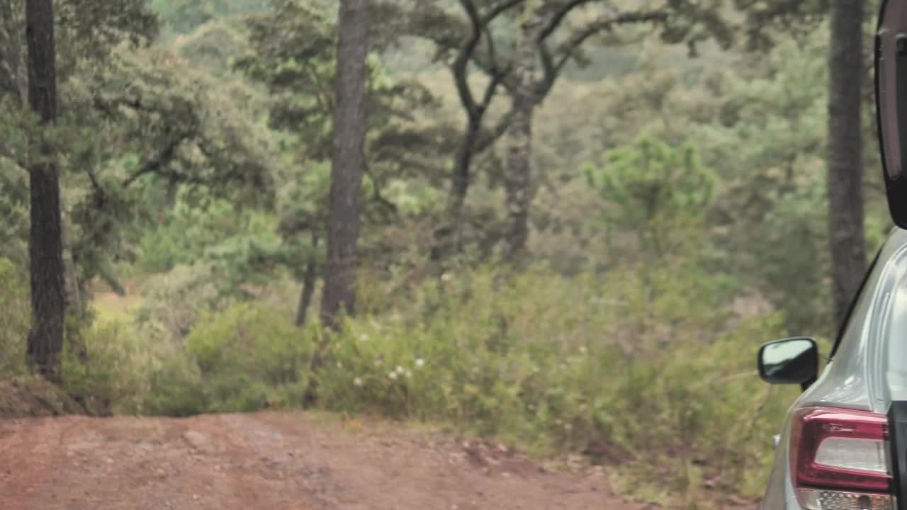 Stock Video Couple Filling The Trunk And Leaving The Woods Live Wallpaper For PC - Free Download
