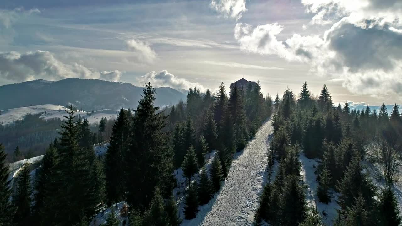 Stock Video Path Among The Pines Of A Mountain In Winter Live Wallpaper - Free Download