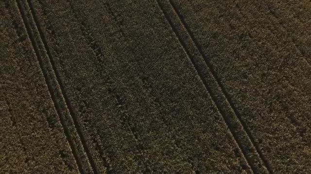 Stock Video Drone Flying Over Large Fields  Smal Live Wallpaper For PC - Free Download