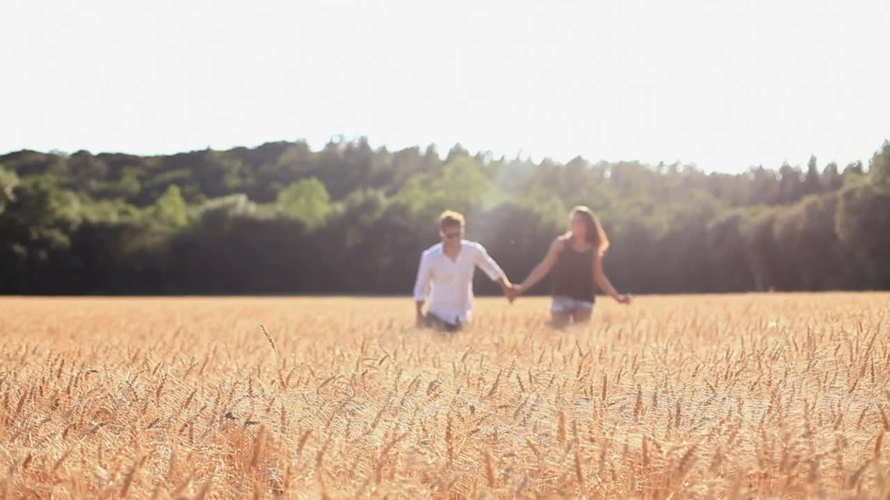 Stock Video Couple In Love In A Wheat Field Live Wallpaper For PC - Free Download