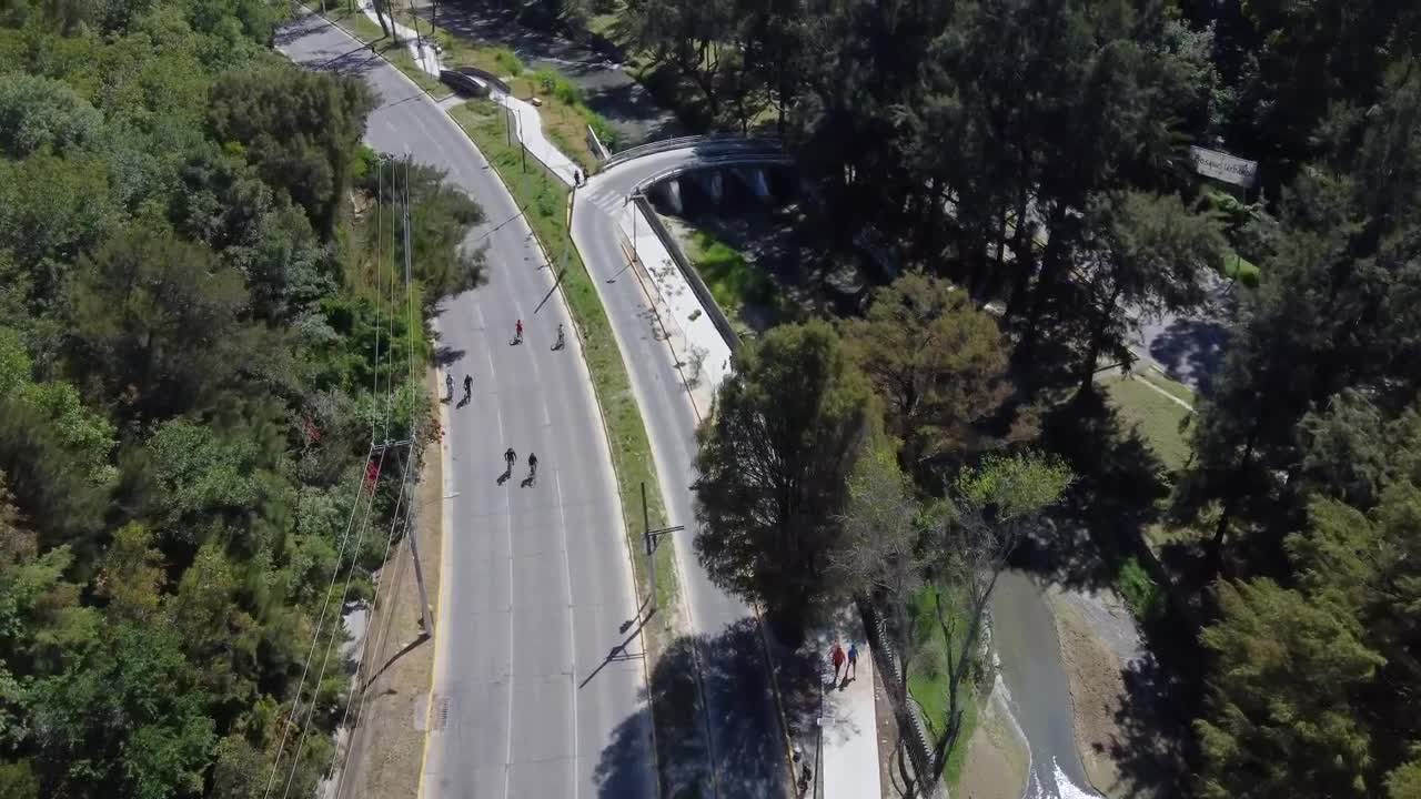 Stock Video Cyclists Going Through An Avenue Live Wallpaper For PC - Free Download