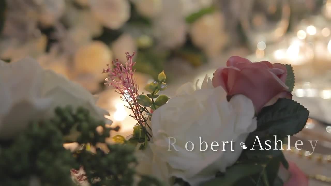 Free Stock Video Wedding Lower Third Live Wallpaper - Free Download