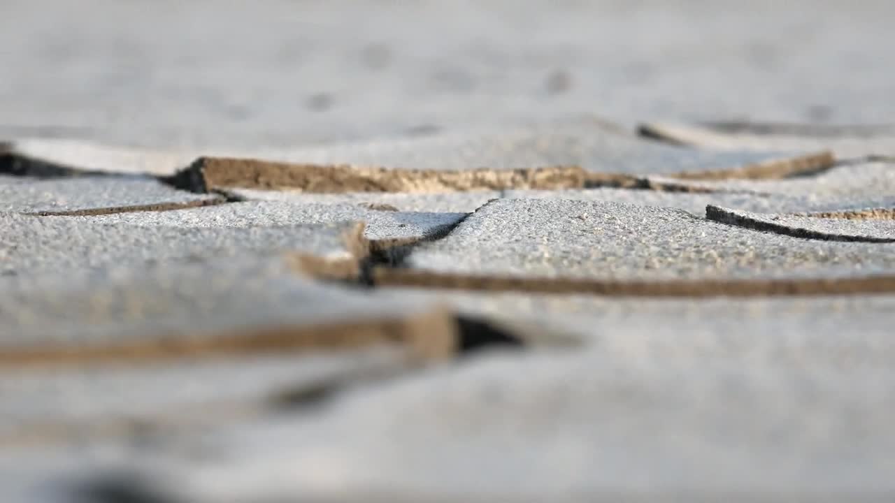 Free Video Stock Soil Cracks Close Up Live Wallpaper - Free Download