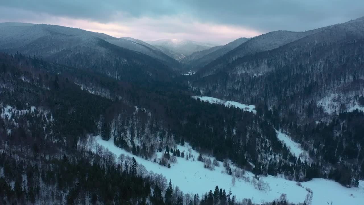 Stock Video Mountainous Forest Full Of Snow Aerial View Live Wallpaper - Free Download