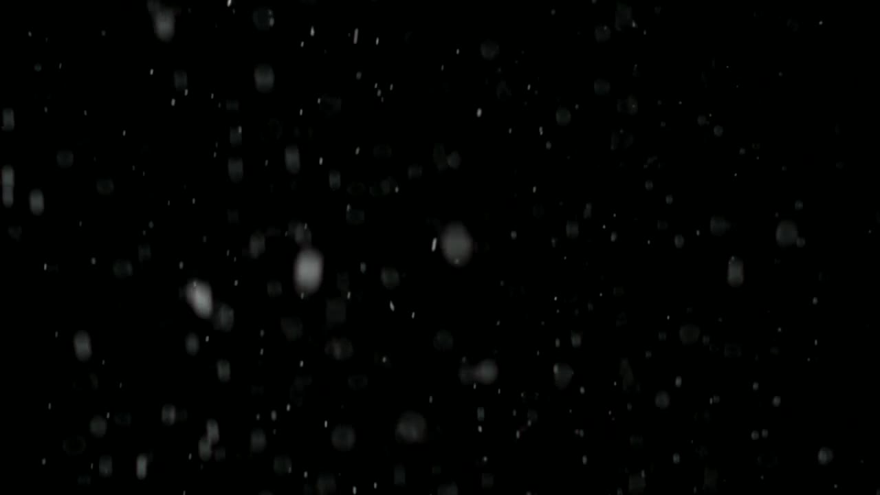 Stock Video Big Snowflakes Falling Live Wallpaper For PC - Free Download
