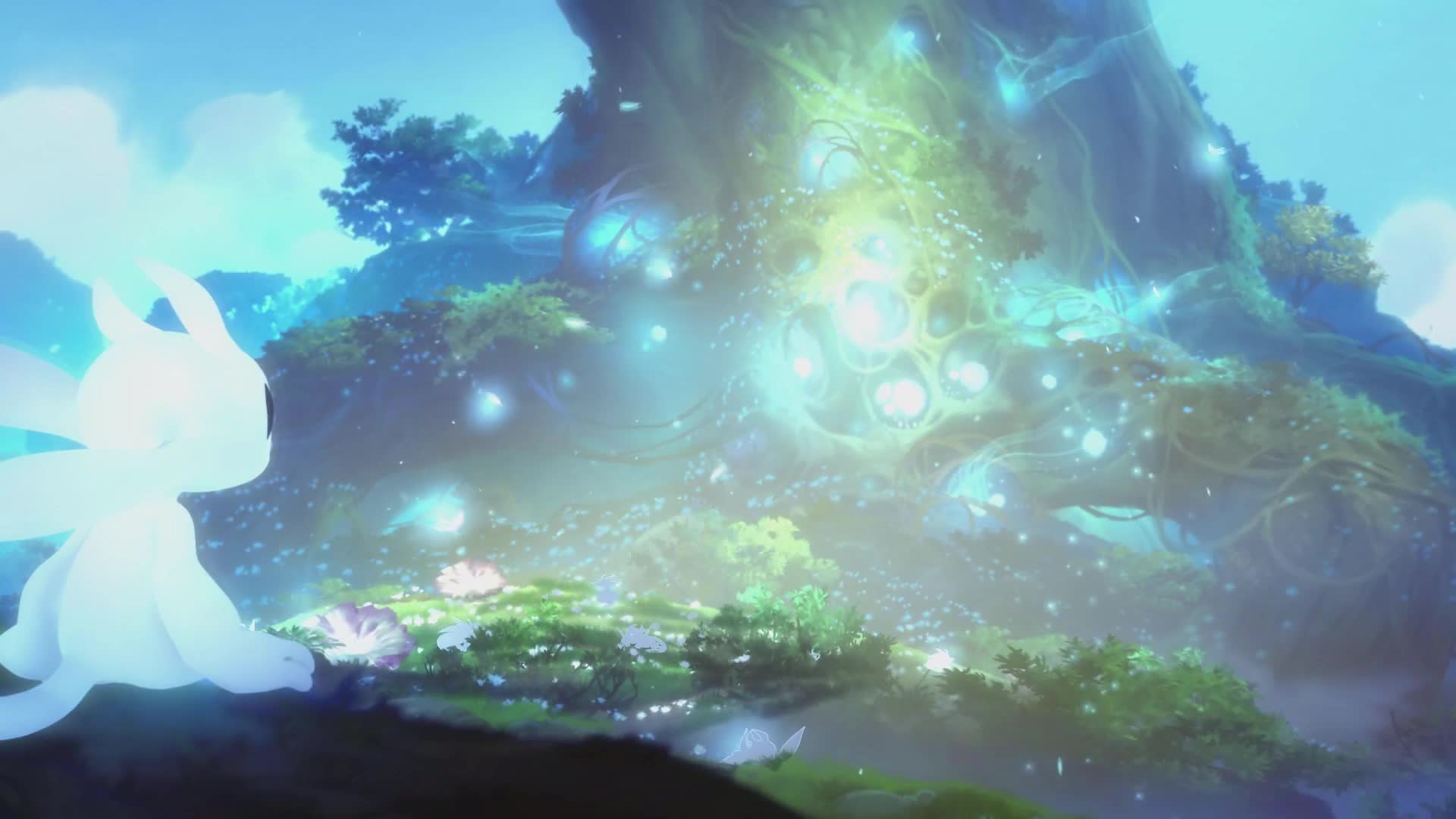 Ori  And  The  Blind  Forest  Cut  Live  Wallpaper - Free Download