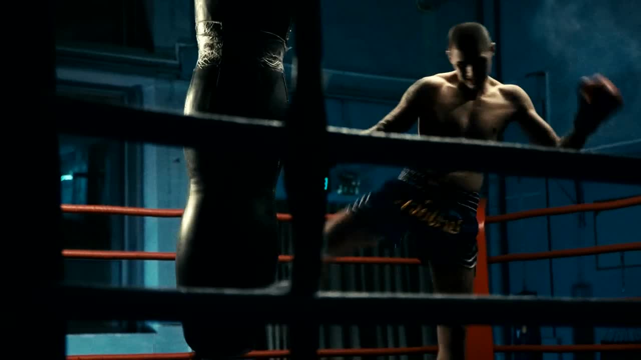 Stock Video Man Training With Punching Bag In The Gy Animated Wallpaper - Free Download