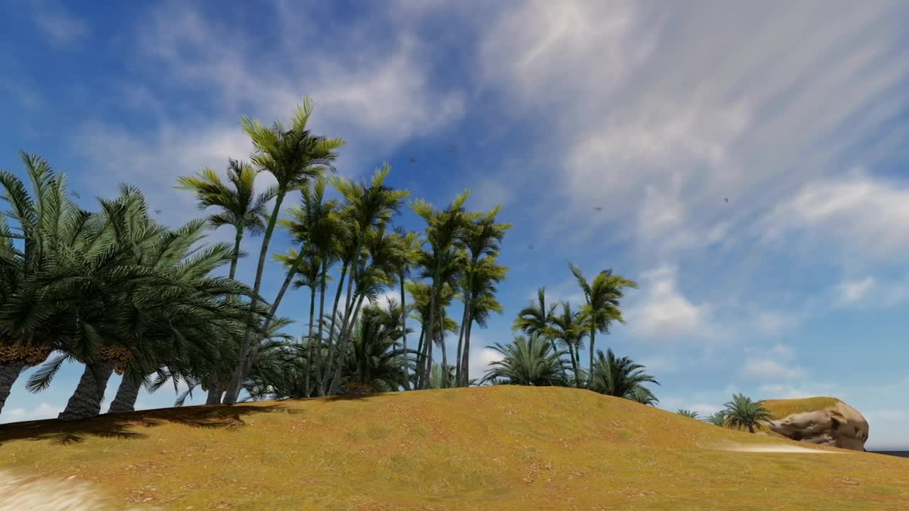 Stock Video Helicopter Flying Over A Beach Animated Wallpaper - Free Download