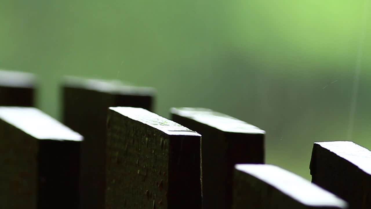 Video Stock Rainfall On A Wooden Fence Live Wallpaper Free - Free Download