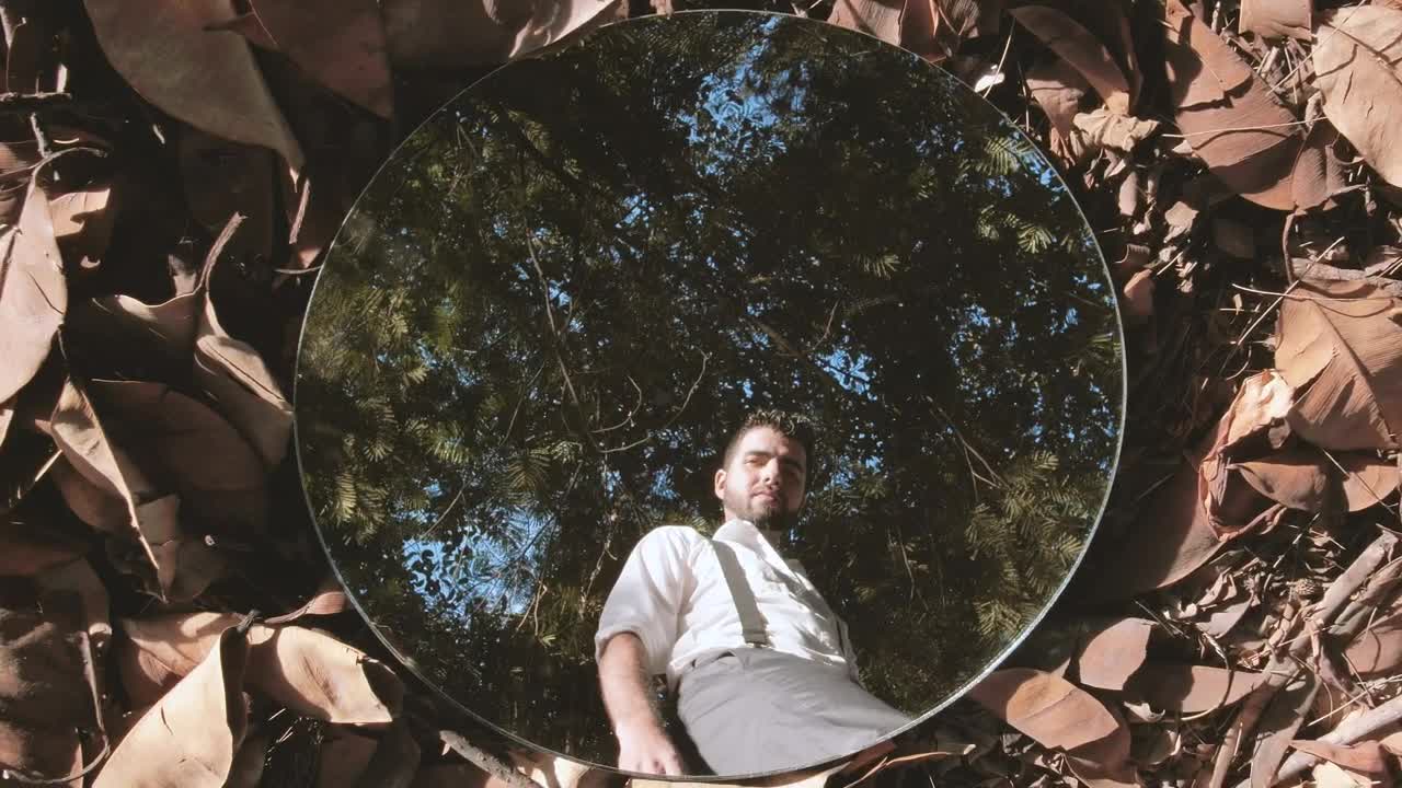 Stock Video Man Reflected In A Mirror On Dry Leave Animated Wallpaper - Free Download