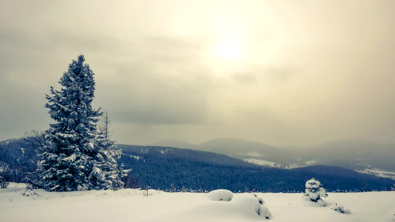 Free Video Stock Snowstorm And Fog Time Lapse Live Wallpaper - Free Download