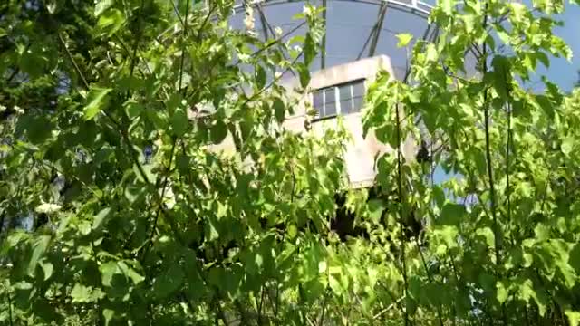 Stock Video Large Abandoned And Dilapidated Antenna Smal Animated Wallpaper - Free Download