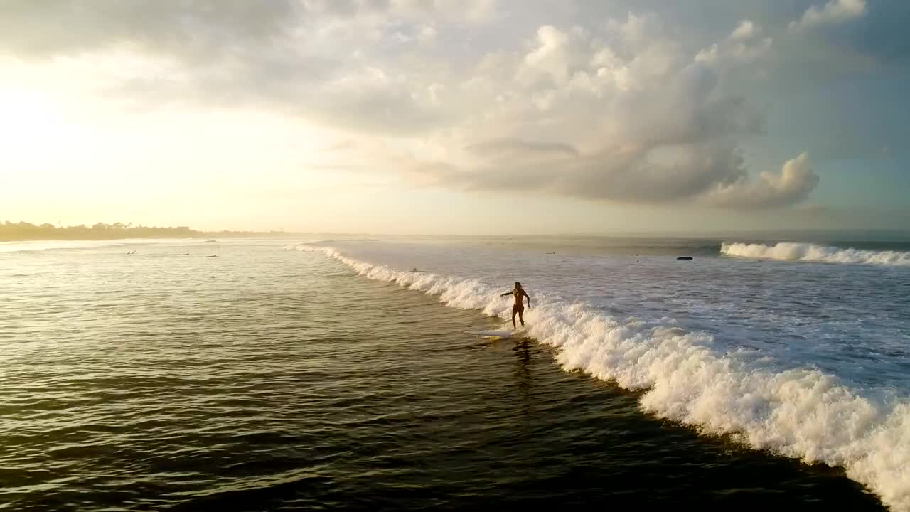 Free Video Stock surfer riding sunlit wave in slow motion Live Wallpaper - Free Download