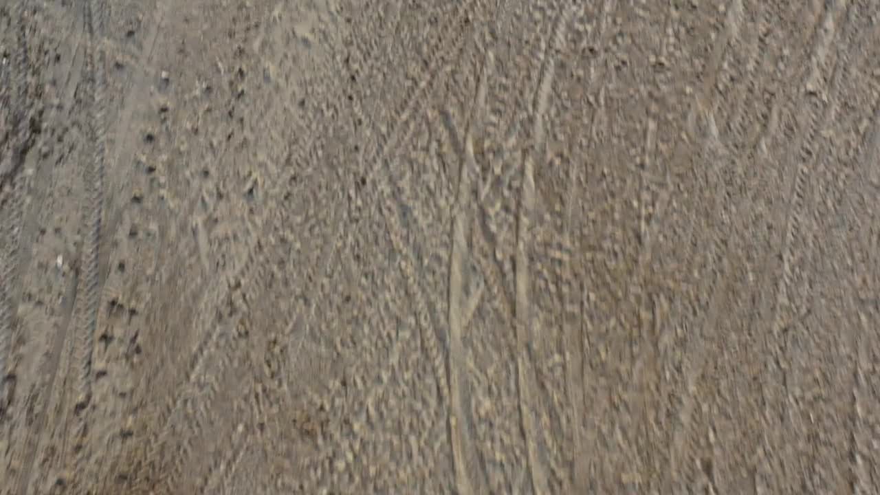 Stock Video Large Sandy Beach Animated Wallpaper - Free Download