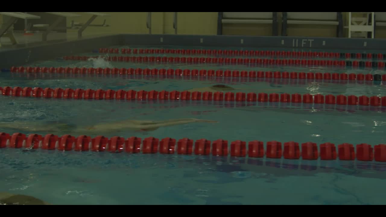 Free Video Stock Slow Motion Swimming Race In An Olympic Pool Live Wallpaper - Free Download