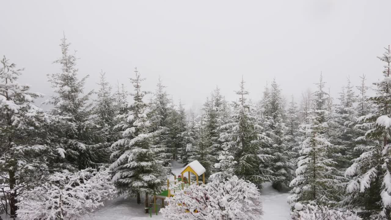 Video Stock Playground In A Snowy Forest Live Wallpaper Free - Free Download