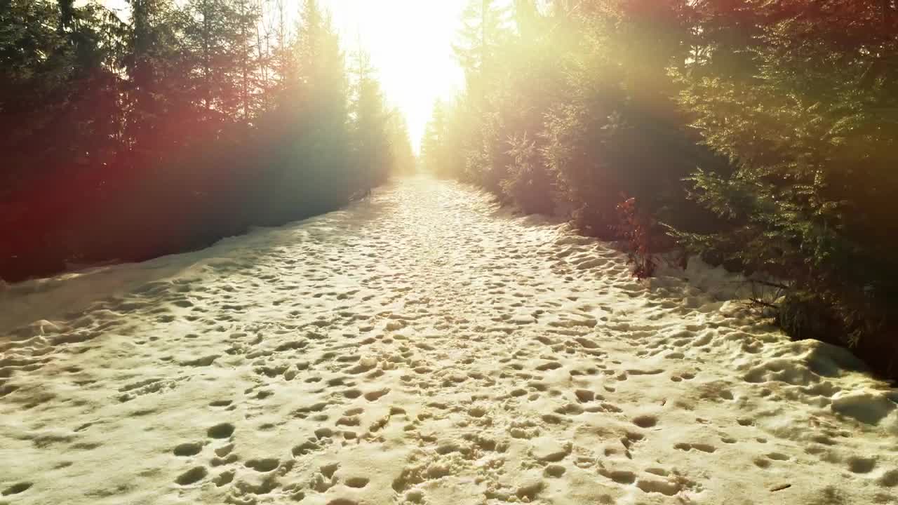 Free Video Stock Snowy Road With Footprints In A Snowy Forest Live Wallpaper - Free Download