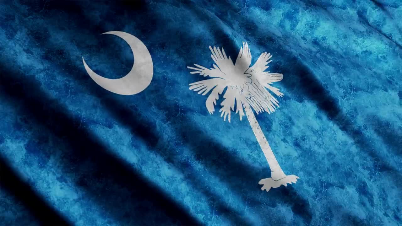 Free Video Stock South Carolina Flag In United States Of America Live Wallpaper - Free Download