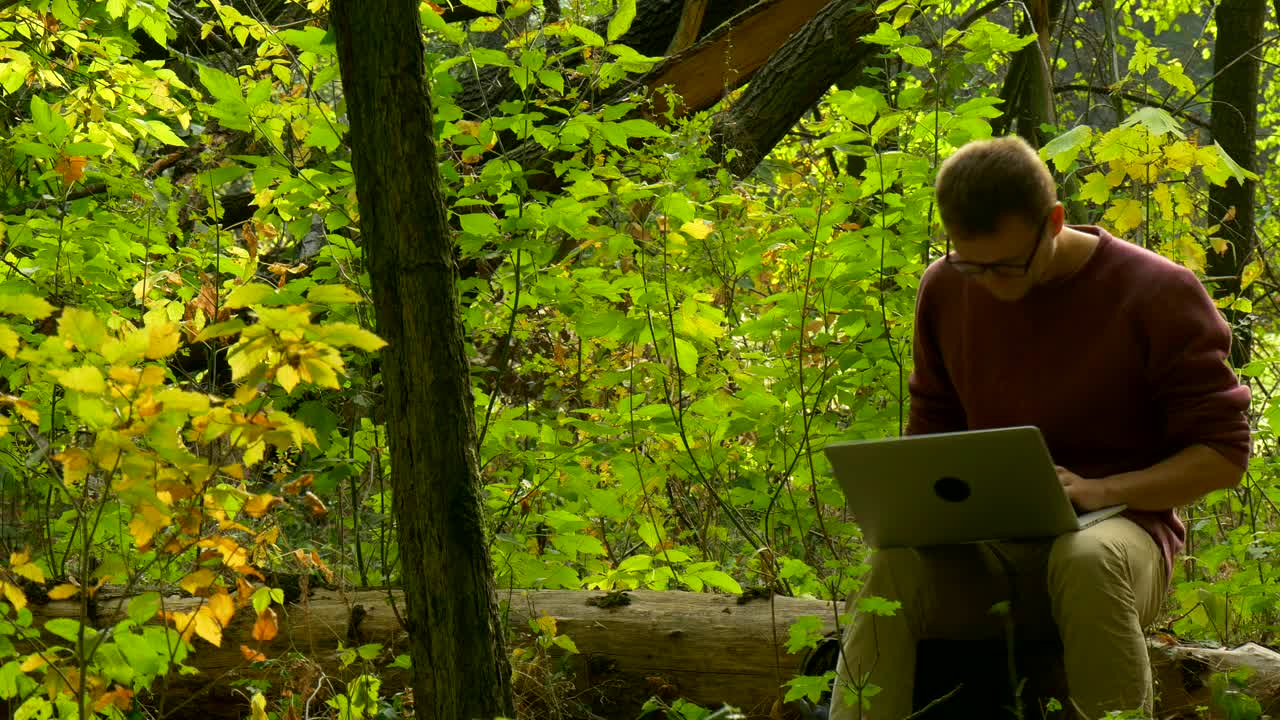 Stock Video Man With Laptop Sitting On A Fallen Tre Animated Wallpaper - Free Download