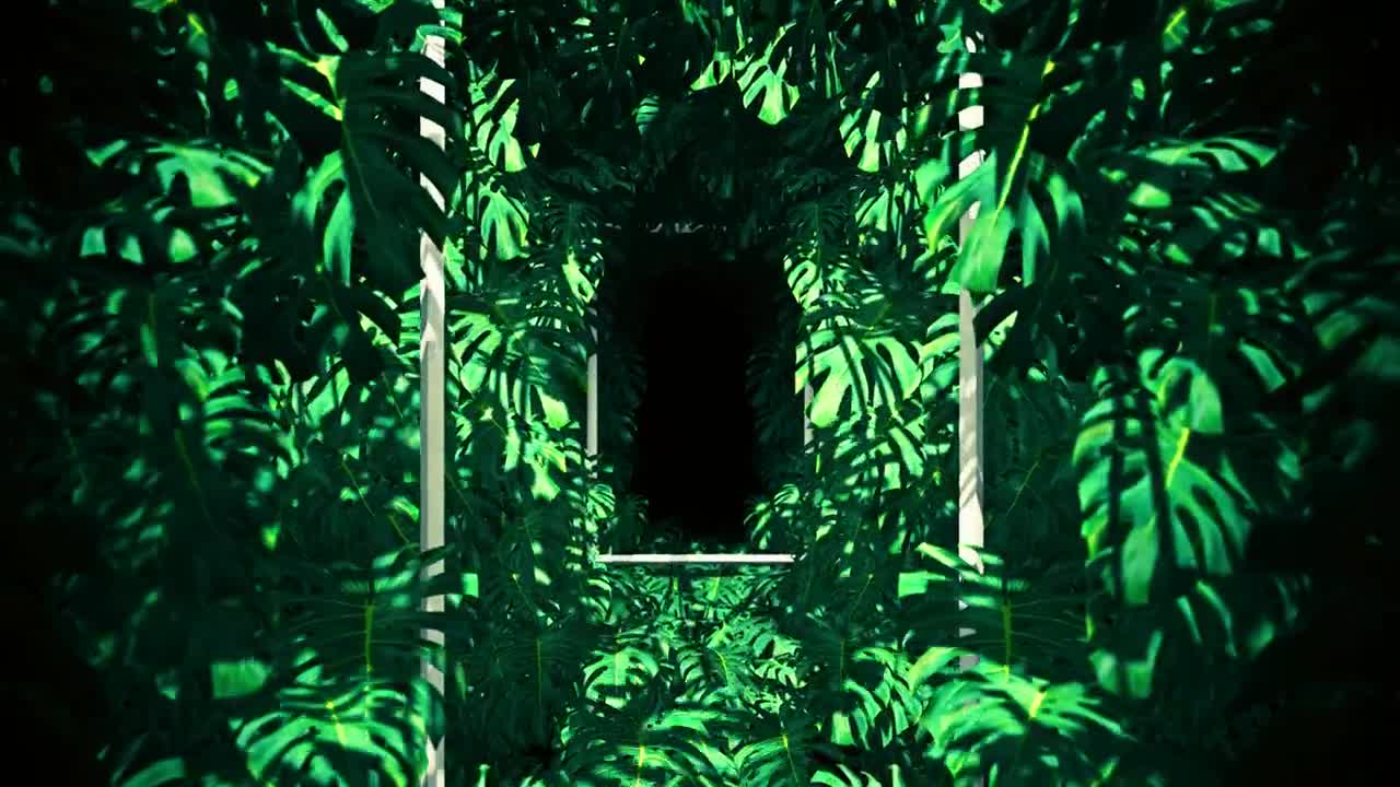 Free Stock Video Vertical Frames Between Tropical Tree Leaves Live Wallpaper - Free Download