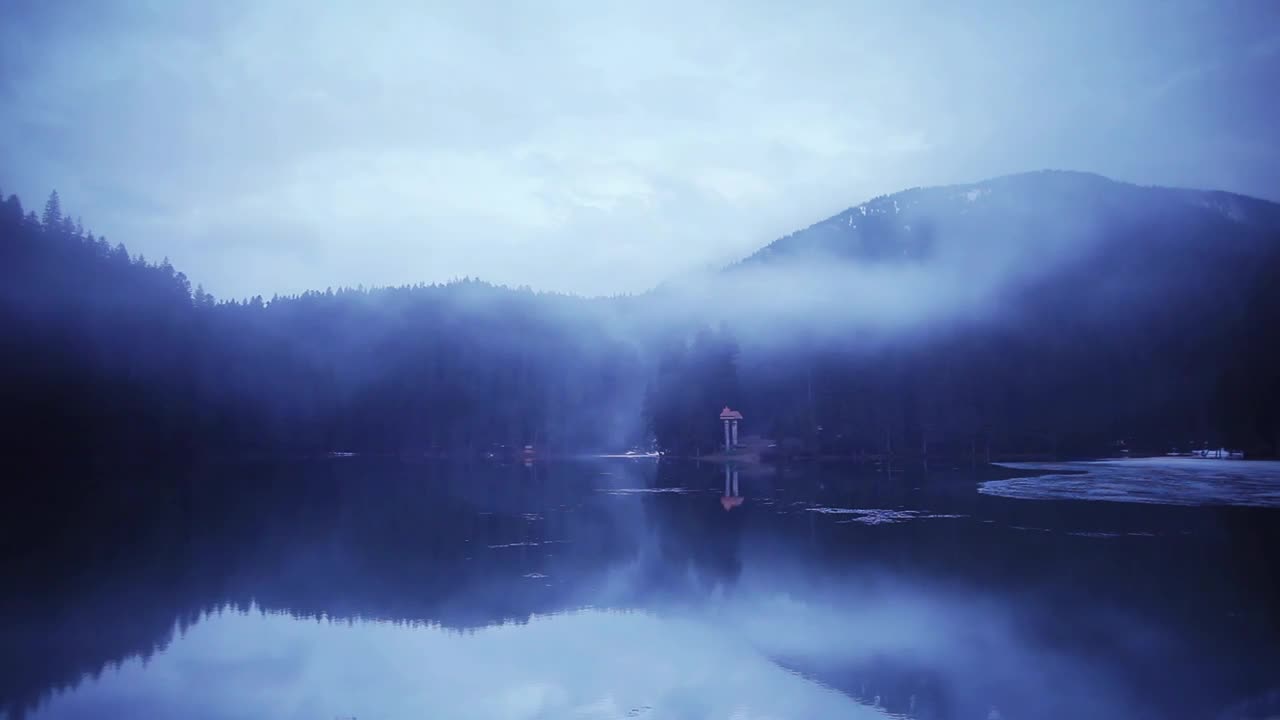 Stock Video Mysterious Forest With A Lake And Mist Live Wallpaper - Free Download