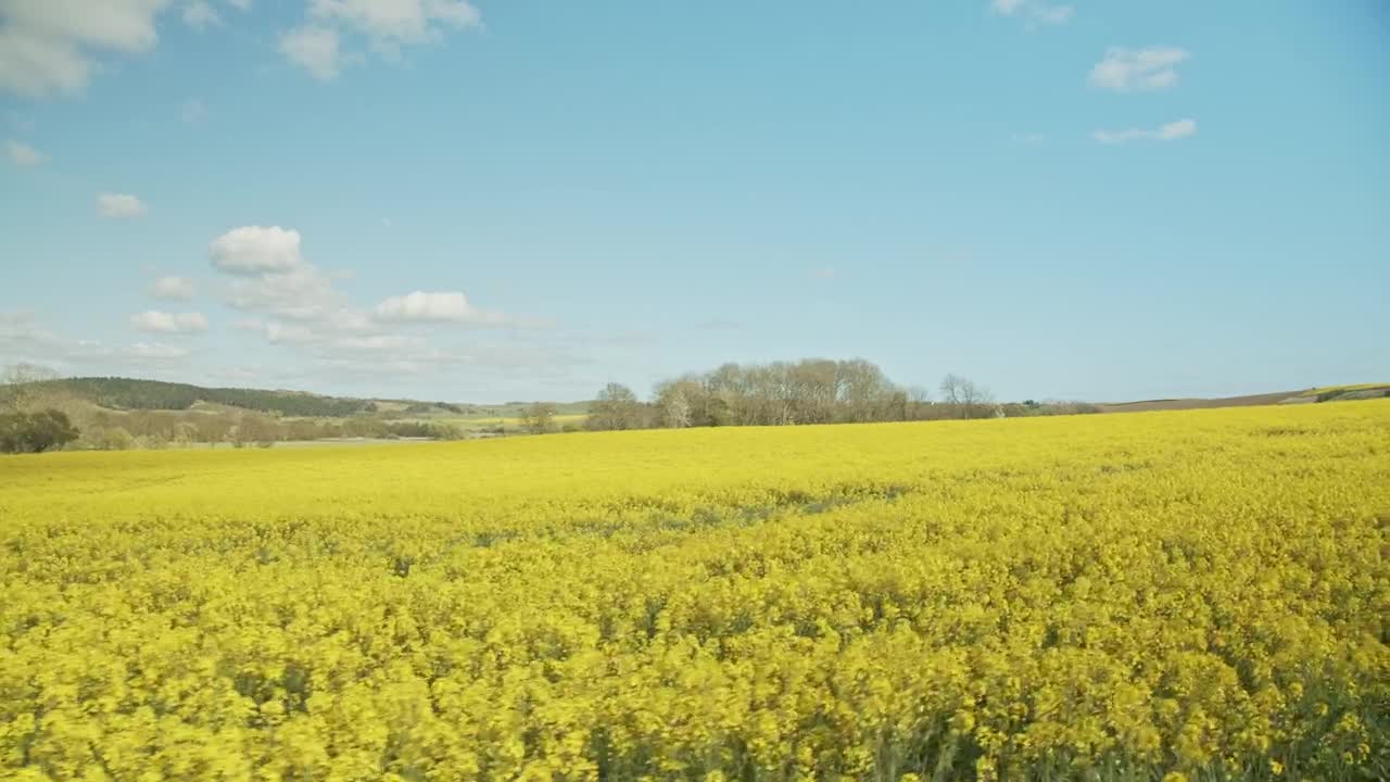 Free Video Stock Summer Fields Drone Shot Live Wallpaper - Free Download