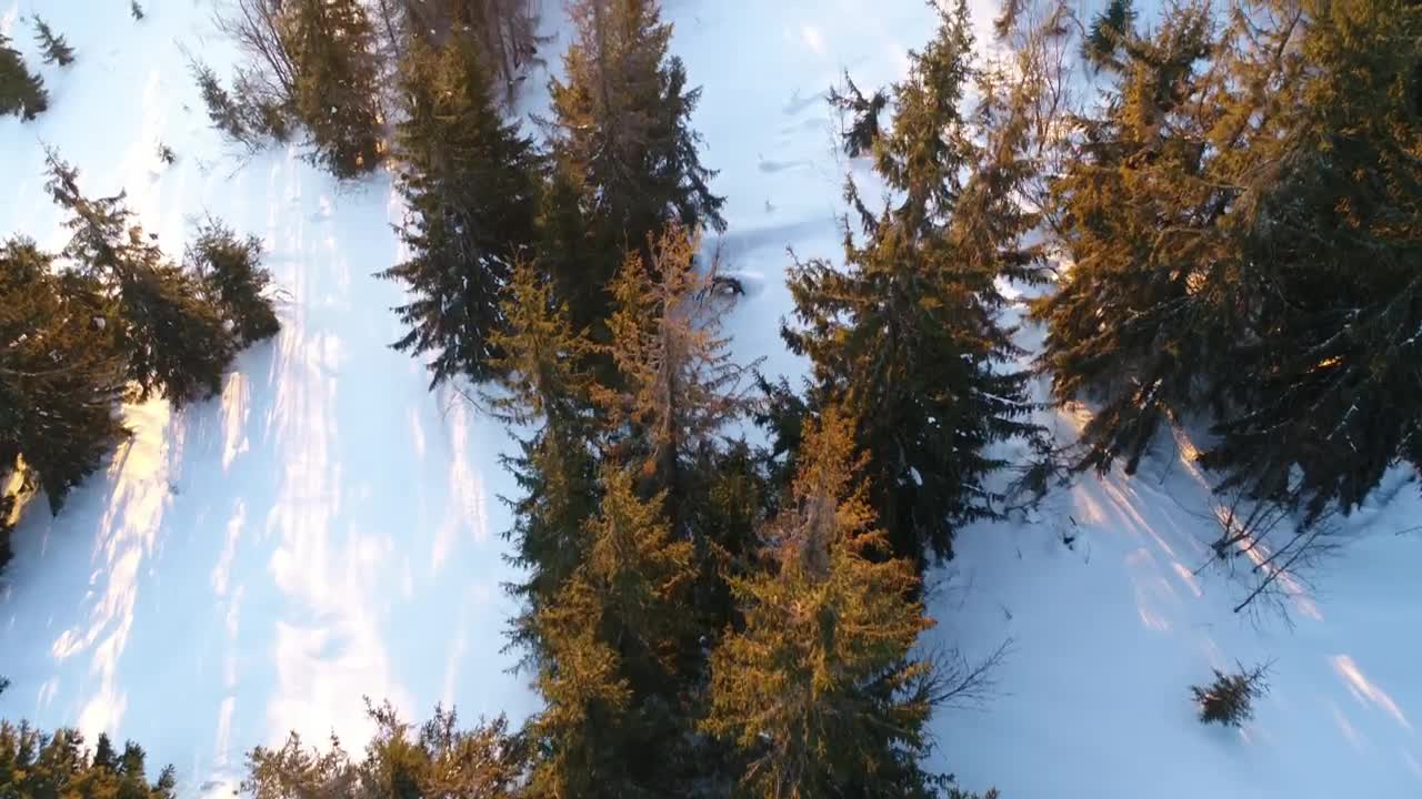 Free Video Stock Stunning Sunrise In A Winter Environment Live Wallpaper - Free Download