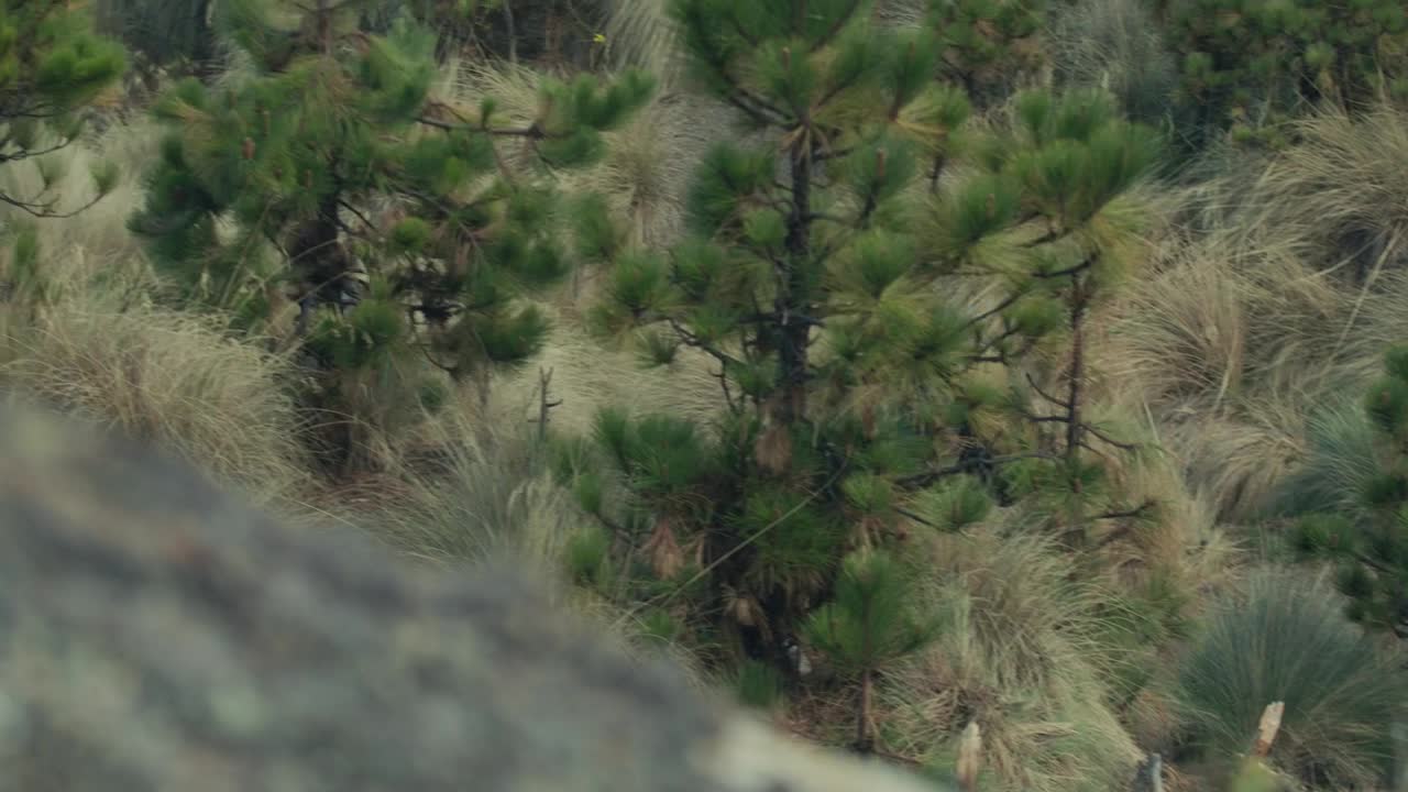 Stock Video High View Of Young People Hiking Animated Wallpaper - Free Download