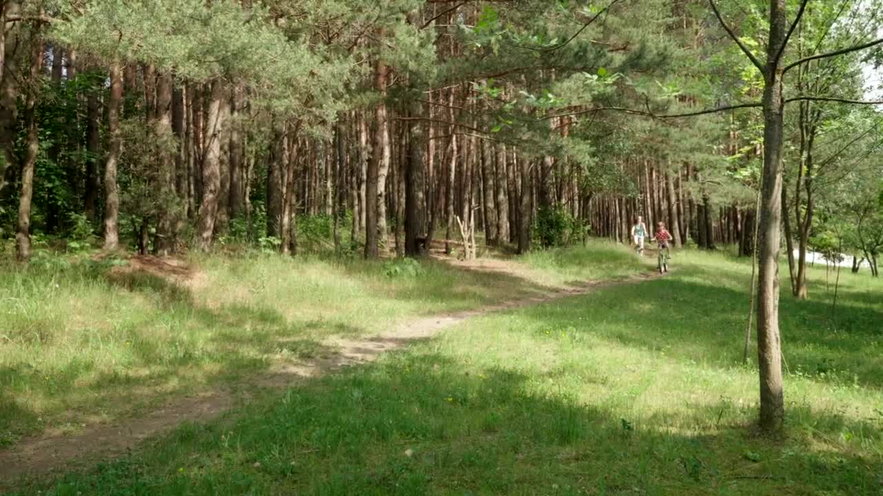 Stock Video Exploring A Forest On Bicycles Live Wallpaper For PC - Free Download