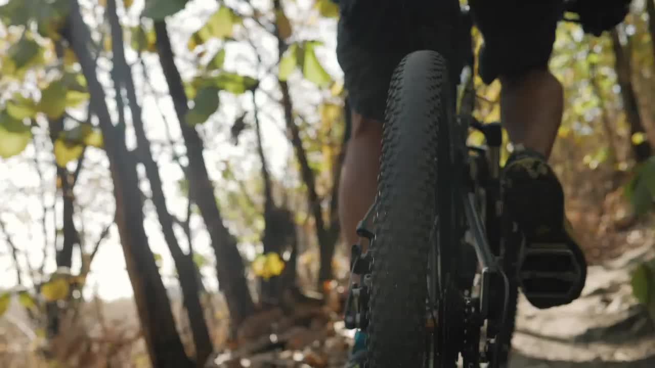 Stock Video Cyclist Traveling Through A Forest Seen From The Back Wheel Live Wallpaper For PC - Free Download